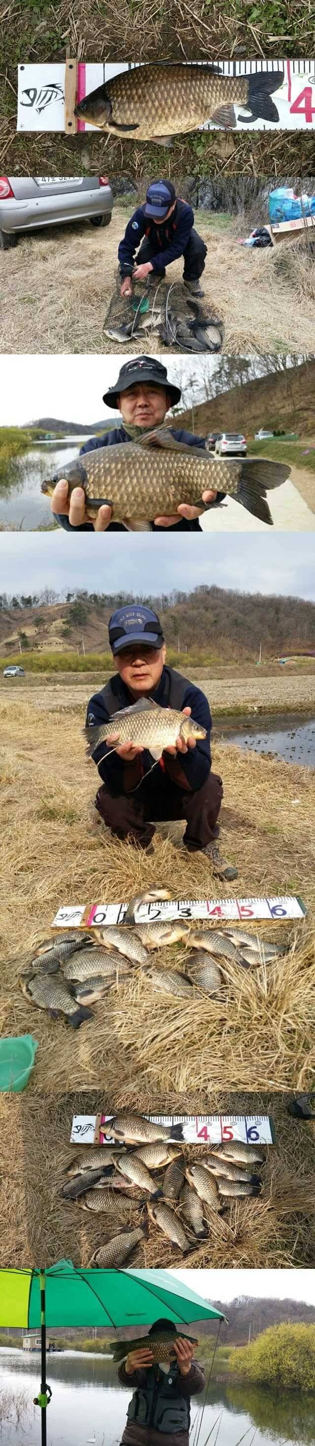 고삼지 노지에서 대박은 계속 이어집니다 (조황조행기 - 특파원조황)