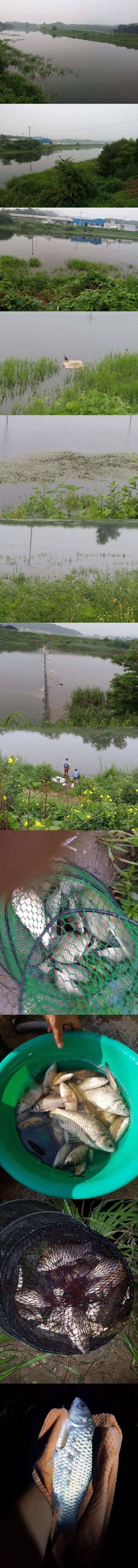 청미천 초보님들께 강추입니다 (조황조행기 - 특파원조황)