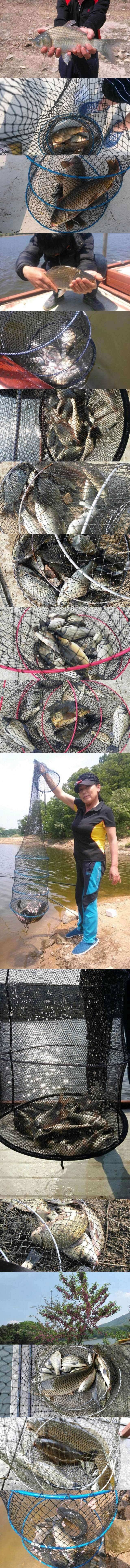 두창지 배수에 강한 낚시터입니다 (조황조행기 - 특파원조황)