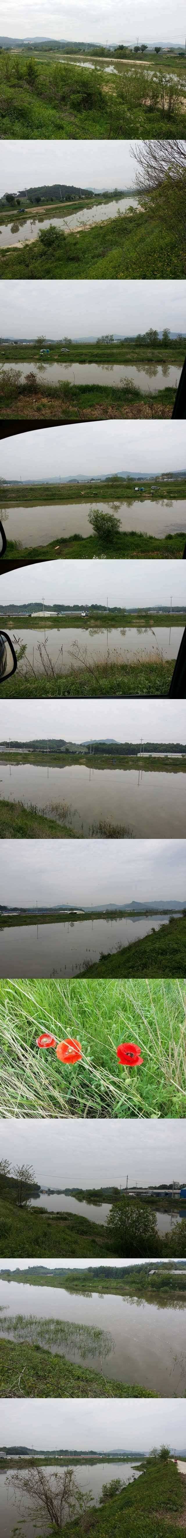 청미천 4짜가 득실거리는 수로입니다 (조황조행기 - 특파원조황)