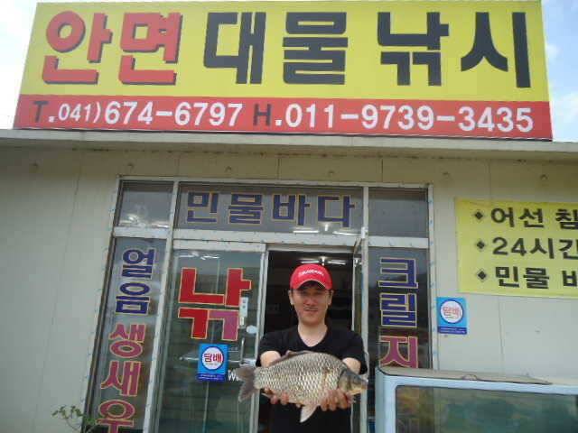 65 부남호 415cm 대물붕어 조황 안내 (조황조행기 - 특파원조황)