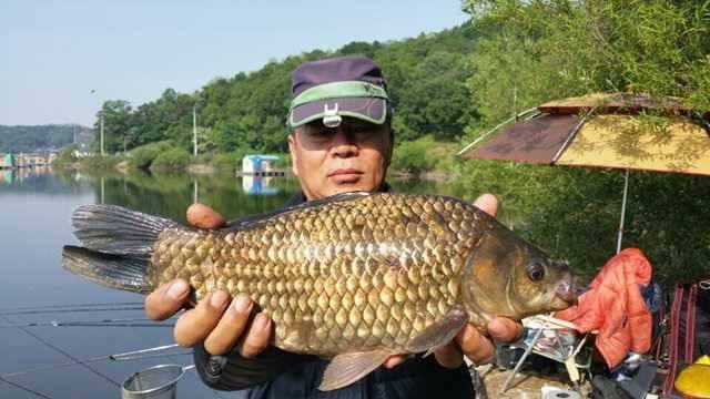 고삼지 노지에서 4짜들이 (조황조행기 - 특파원조황)