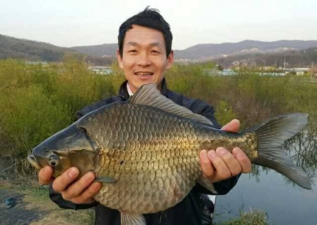 고삼지 괴물들이 쓱 (조황조행기 - 특파원조황)