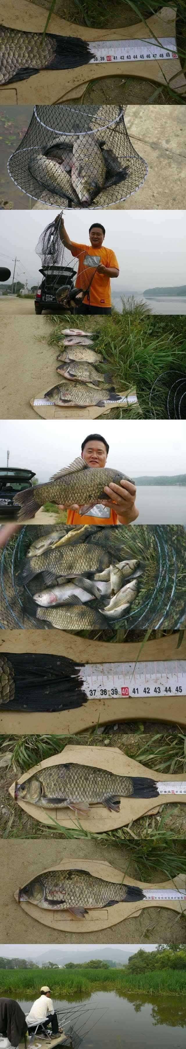 용담지사암지 새우에 올라온 대물들 (조황조행기 - 특파원조황)