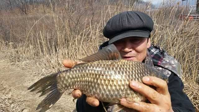 고삼지 노지에서 대물들이 나온다 전해라 (조황조행기 - 특파원조황)