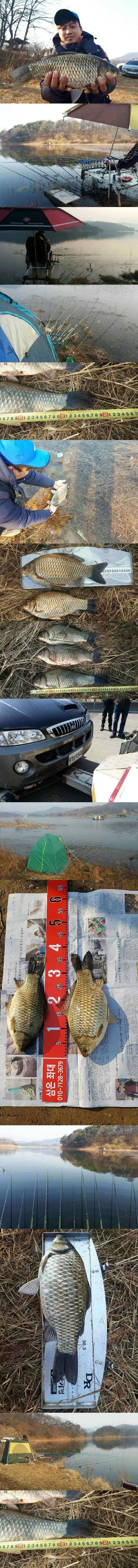 고삼지 노지 조황 회복중 (조황조행기 - 특파원조황)