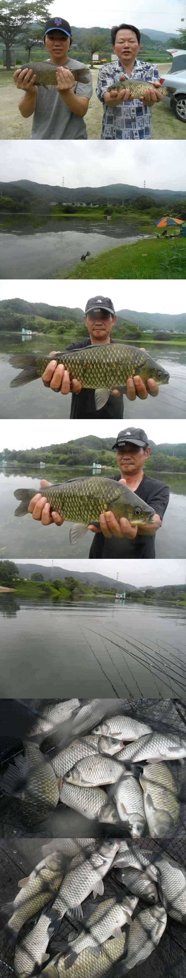덕산지 오름수위를 보이면서 대물들이 (조황조행기 - 특파원조황)