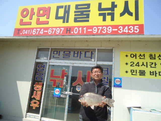 대형 혹부리 붕어 43cm 출현 (조황조행기 - 특파원조황)