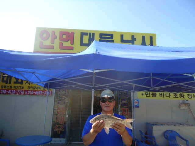 부남호 주중 조황 안내 (조황조행기 - 특파원조황)