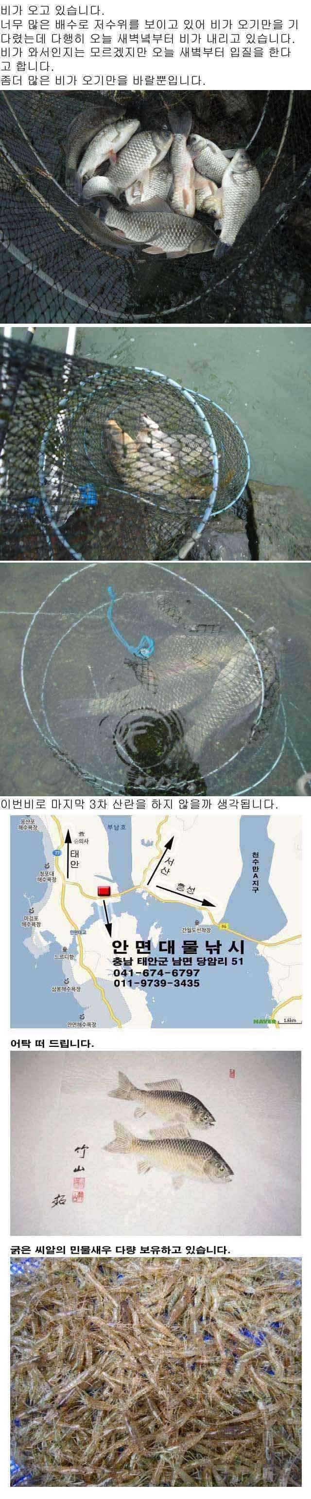 부남호 비내리는 부남호 (조황조행기 - 특파원조황)