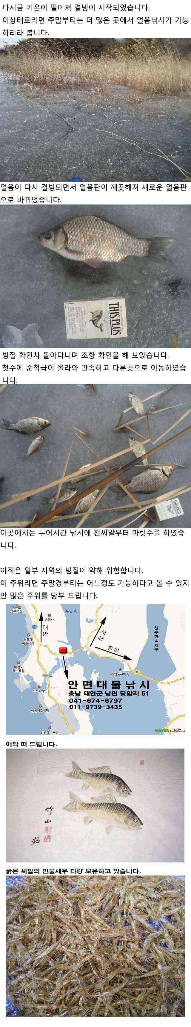 124 안면도권 저수지 및 수로 얼음낚시 안내 (조황조행기 - 특파원조황)