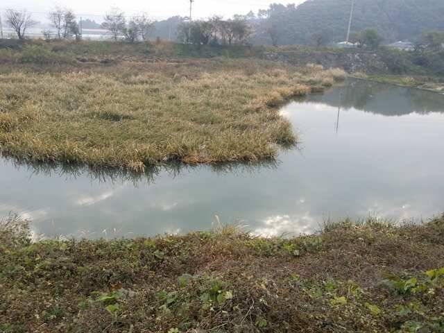 청미천 낚시할 곳 무진장입니다 (조황조행기 - 특파원조황)