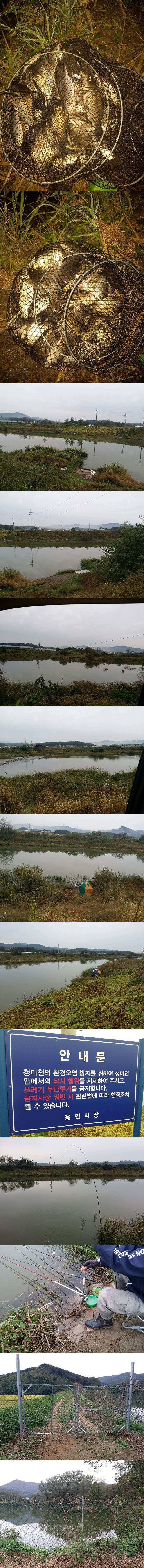 청미천수로 초보님들만 출조하세요 (조황조행기 - 특파원조황)