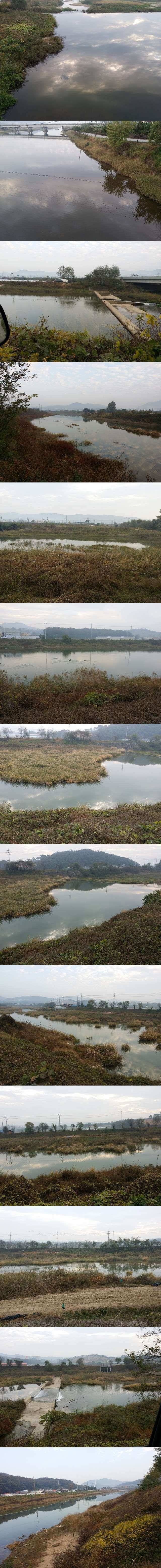 청미천 낚시할 곳 무진장입니다 (조황조행기 - 특파원조황)