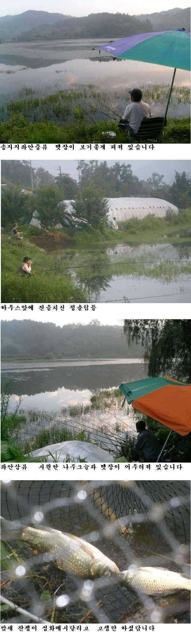 상주권 조황정보 (조황조행기 - 특파원조황)