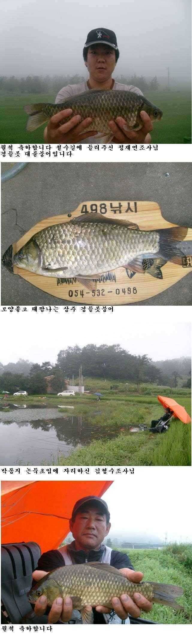 상주권 조황정보 (조황조행기 - 특파원조황)