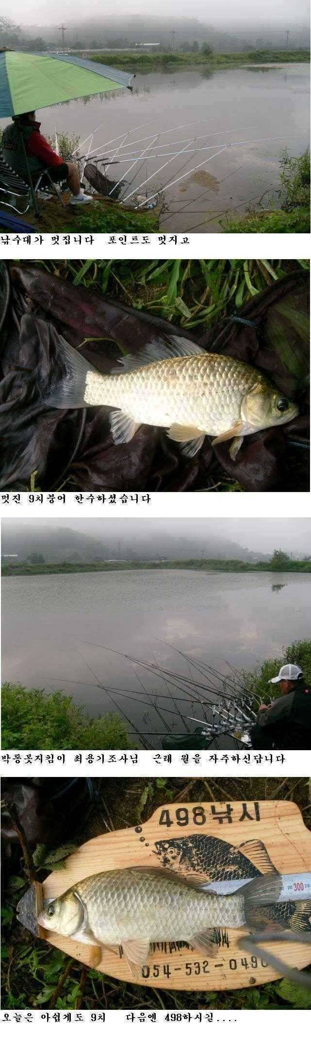 상주권 조황정보 (조황조행기 - 특파원조황)