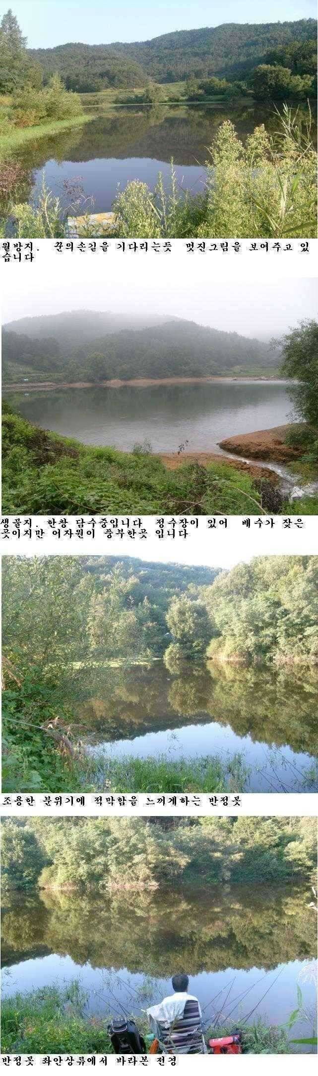 상주권 조황정보 (조황조행기 - 특파원조황)