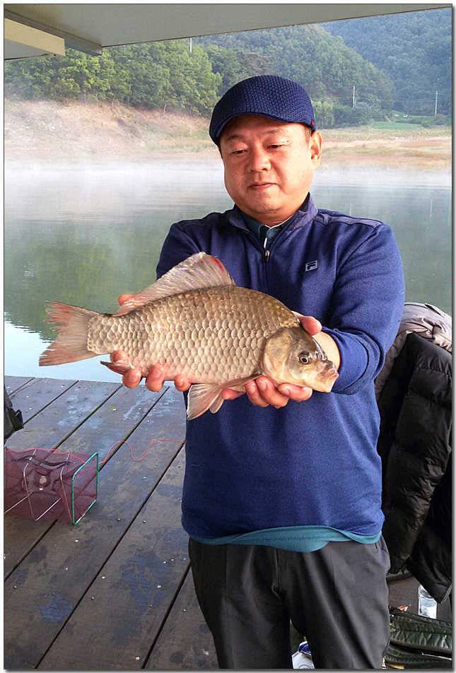 종점 435 cm솔 월척한버들 월척 (조황조행기 - 특파원조황)