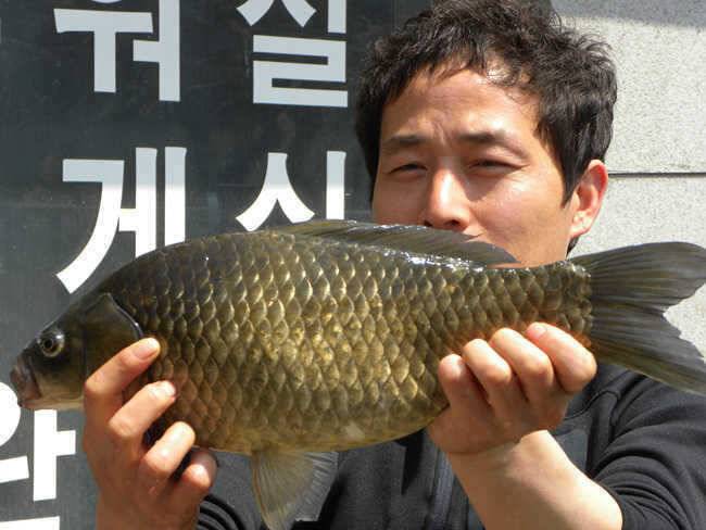 자인권 조황 삼천지 4짜와 주울지 준척손맛 (조황조행기 - 특파원조황)