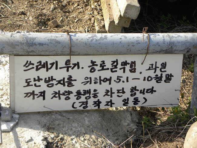 자인권 조황 삼천지 4짜와 주울지 준척손맛 (조황조행기 - 특파원조황)