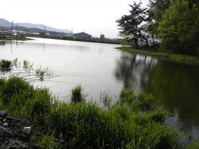 자인권 조황 삼천지 4짜와 주울지 준척손맛 (조황조행기 - 특파원조황)