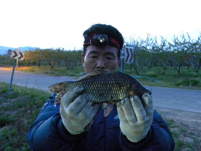 자인권 조황 삼천지 4짜와 주울지 준척손맛 (조황조행기 - 특파원조황)