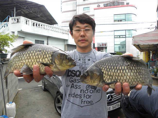 자인권 조황 삼천지 4짜와 주울지 준척손맛 (조황조행기 - 특파원조황)