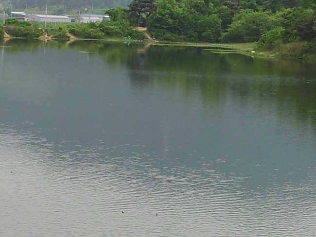 자인권 조황 삼천지 4짜와 주울지 준척손맛 (조황조행기 - 특파원조황)