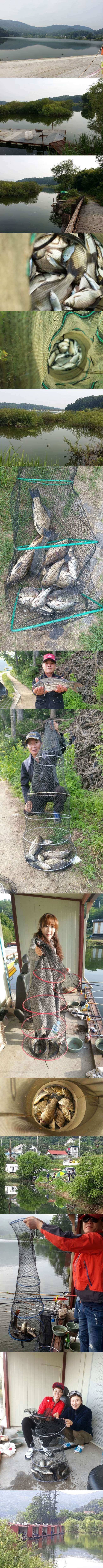 두창지 미끼운용이 중요합니다 (조황조행기 - 특파원조황)