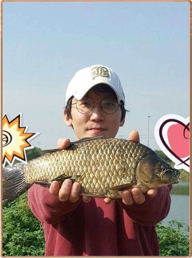 진위천 조황 소식 (조황조행기 - 특파원조황)