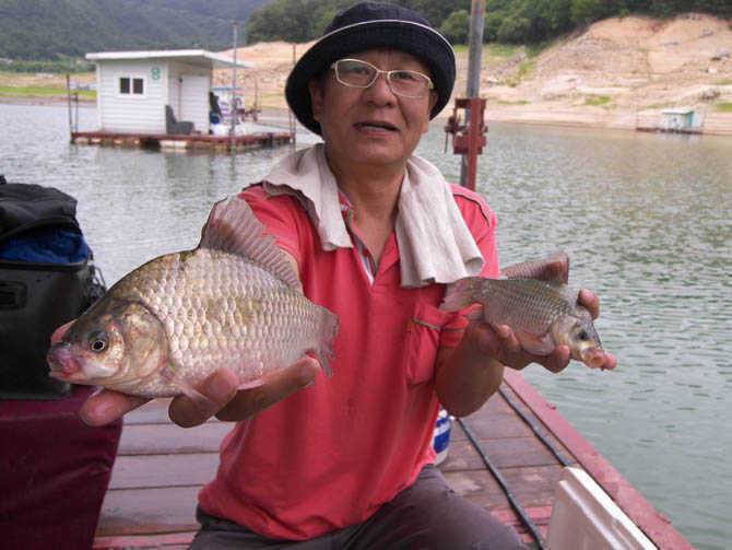 서운리 솔낚시터 오늘도 월척에 마릿수도 괜찮네요 (조황조행기 - 특파원조황)