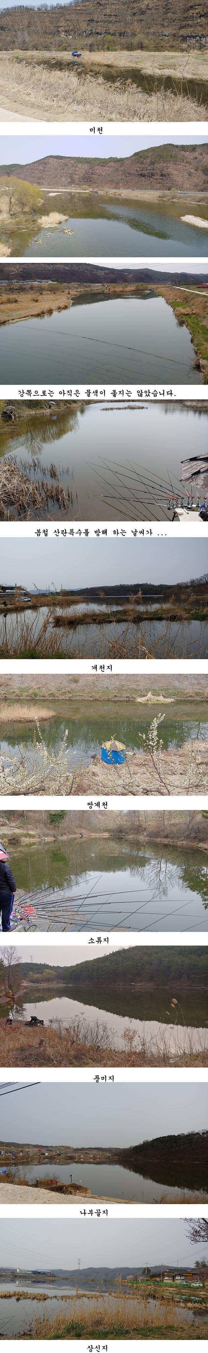 경북 의성권 붕어 조황 (조황조행기 - 특파원조황)