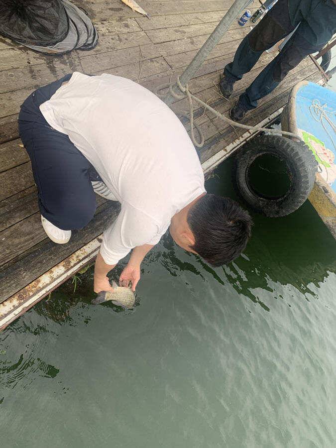 하천낚시터 42 42 41 405cm 대물붕어 소식 (조황조행기 - 특파원조황)