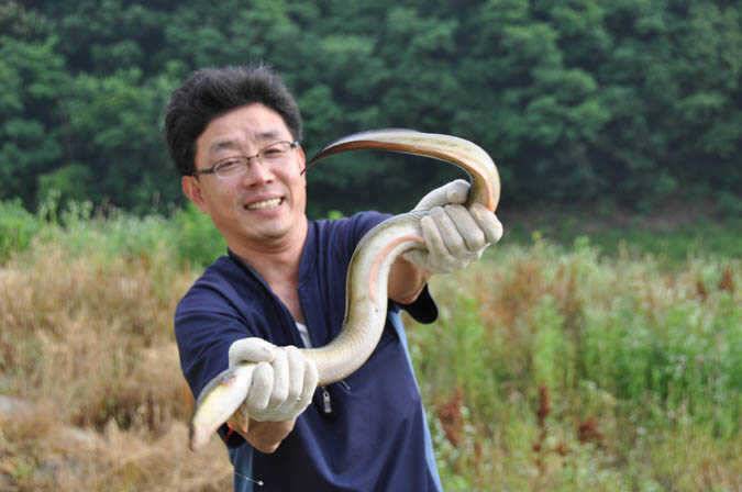 목벌낚시터 대물장어 하천낚시터 붕어 소식입니다 (조황조행기 - 특파원조황)
