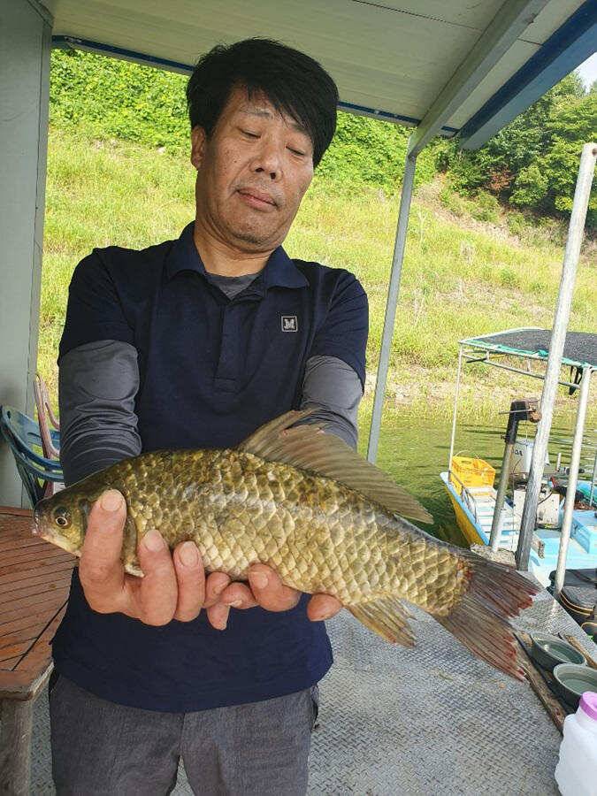 목벌낚시터 대물붕어와 살아나는 장어조황 명서낚시터4짜 대물붕어 소식입니다 (조황조행기 - 특파원조황)