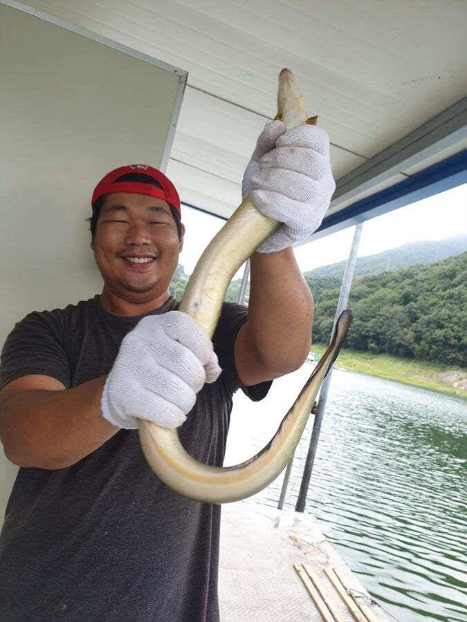 목벌낚시터 대물붕어와 살아나는 장어조황 명서낚시터4짜 대물붕어 소식입니다 (조황조행기 - 특파원조황)