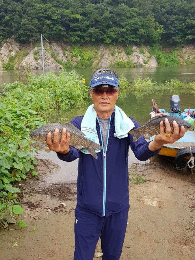 목벌낚시터 대물붕어와 살아나는 장어조황 명서낚시터4짜 대물붕어 소식입니다 (조황조행기 - 특파원조황)