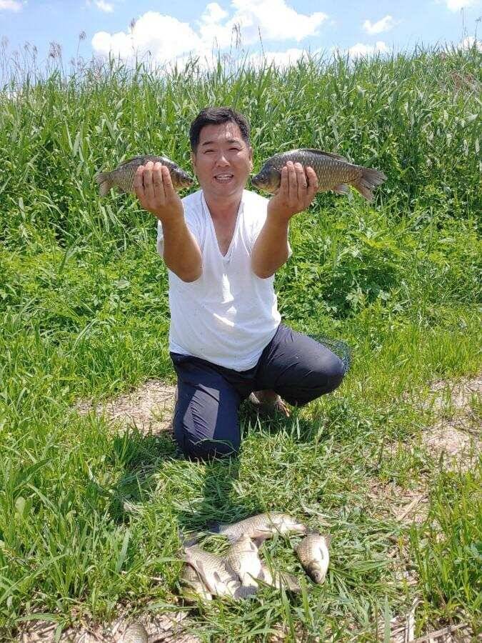 진위천 조황 소식 (조황조행기 - 특파원조황)