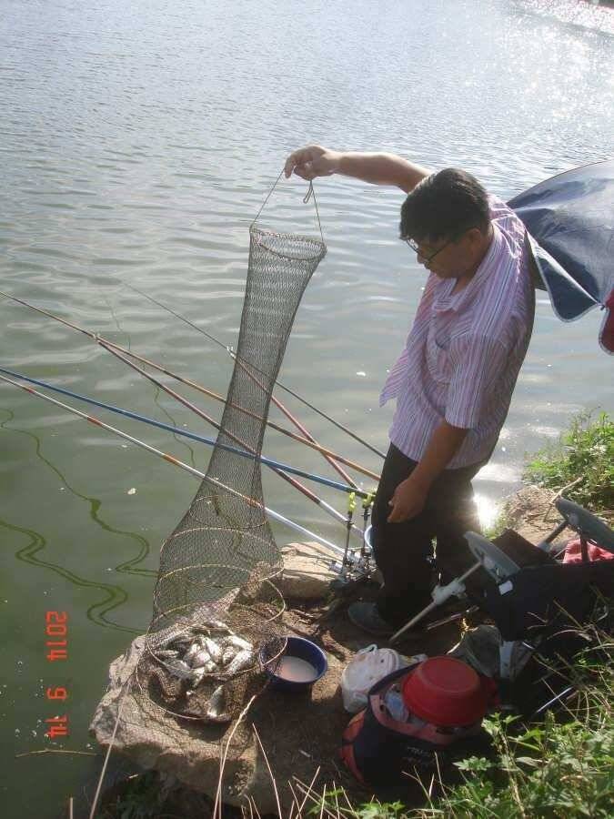 진위천 조황 소식 (조황조행기 - 특파원조황)