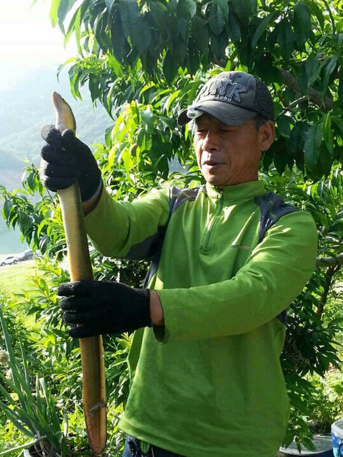 서운낚시터 장어소식입니다 (조황조행기 - 특파원조황)