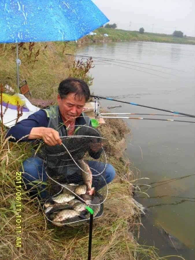 진위천 조과 풍년입니다 (조황조행기 - 특파원조황)