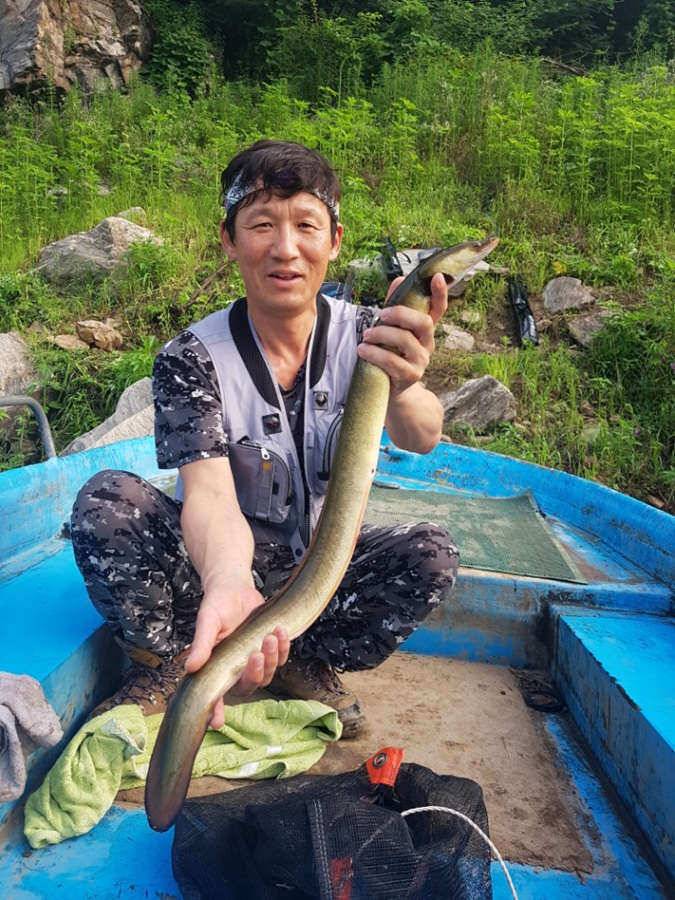 명서 붕어 소식과 대물급장어에 마릿수도 (조황조행기 - 특파원조황)