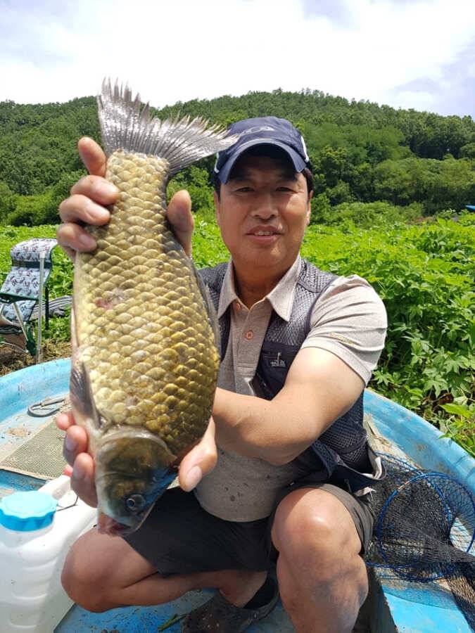 명서 4짜에 허리급 월척이 몇수인지 장어조황 (조황조행기 - 특파원조황)