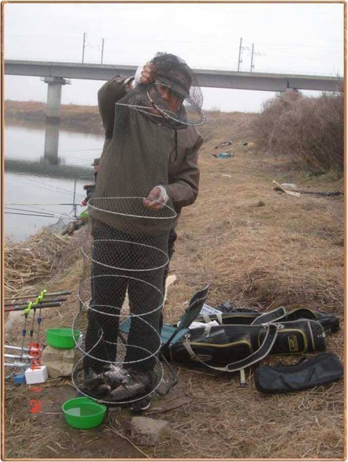 진위천 조황 소식 (조황조행기 - 특파원조황)