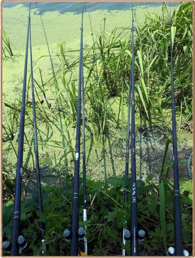 진위천 조황 소식 (조황조행기 - 특파원조황)