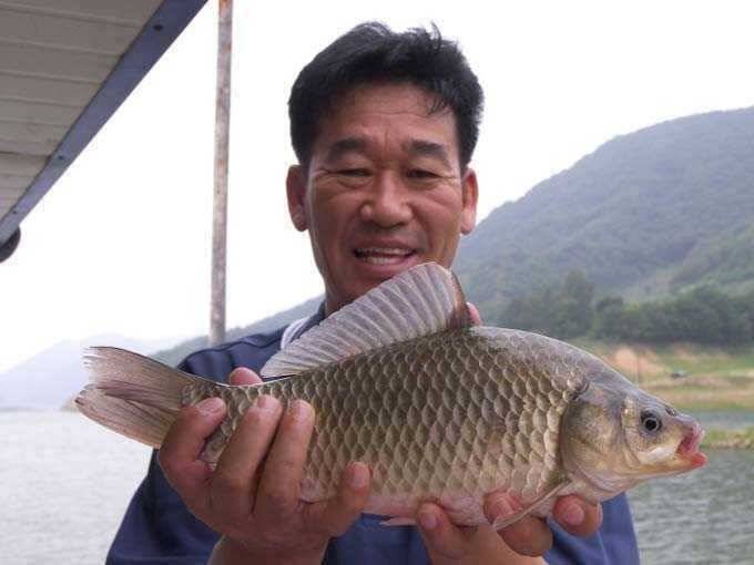 충주호 이번엔 한번 기대해 보죠 (조황조행기 - 특파원조황)