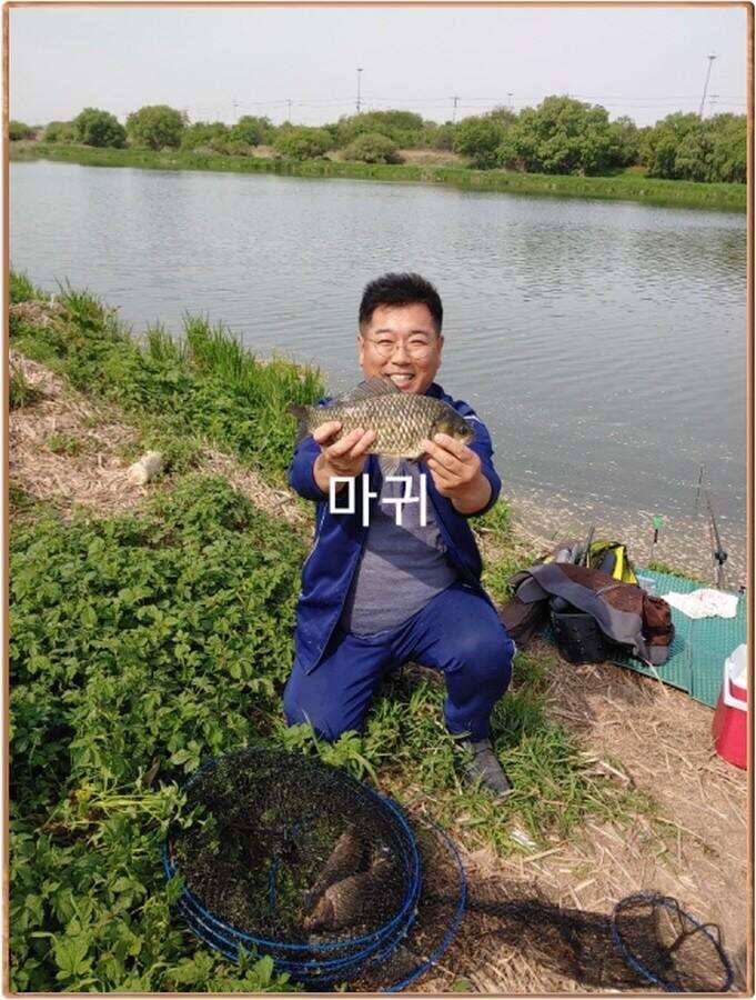 진위천 조황 소식 (조황조행기 - 특파원조황)