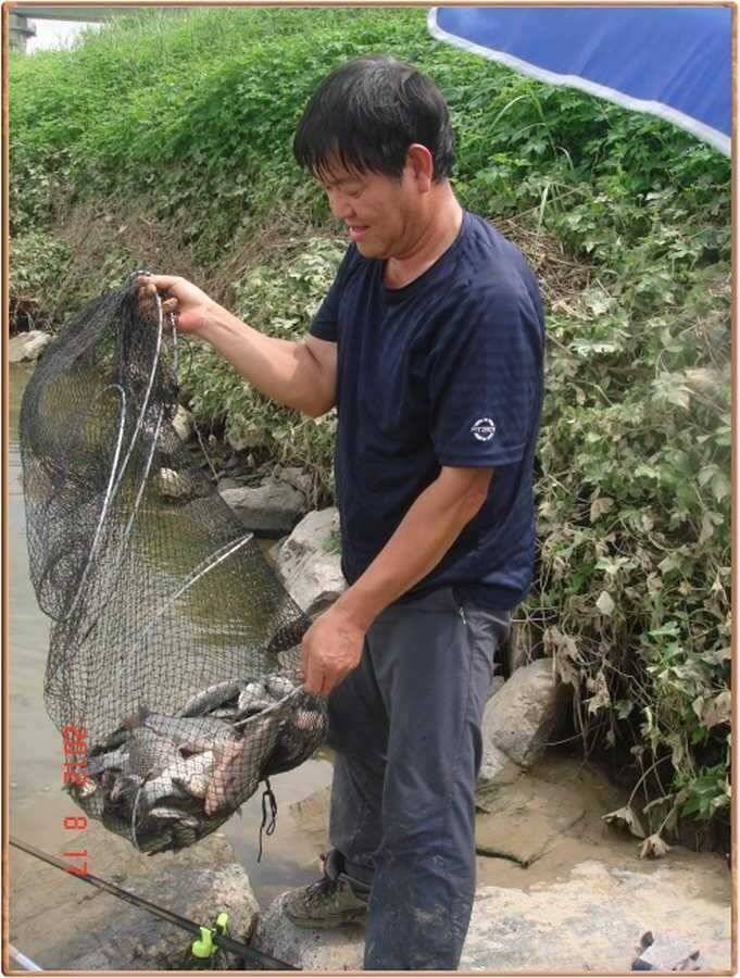 진위천 조황소식 (조황조행기 - 특파원조황)