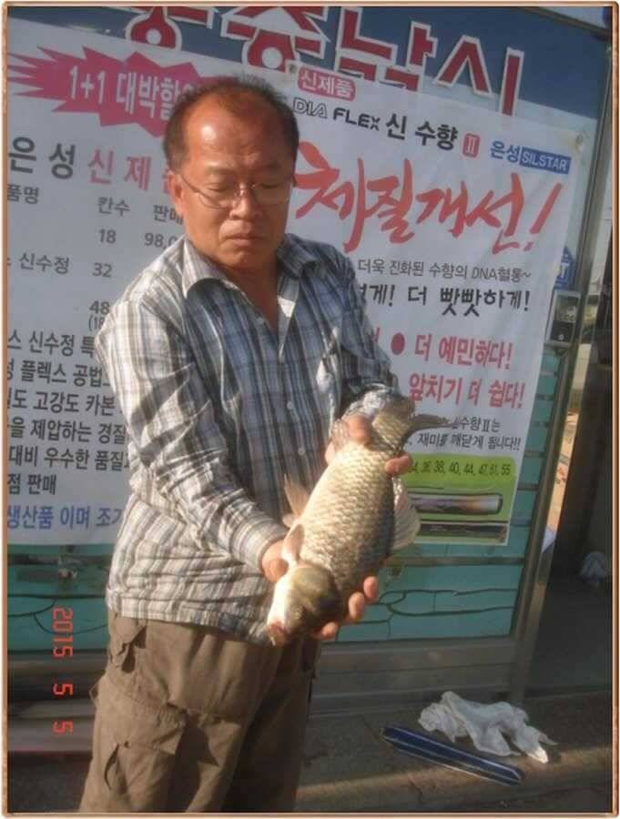 진위천 조황 소식 (조황조행기 - 특파원조황)